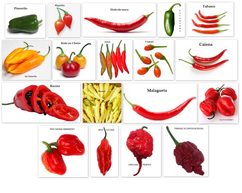 pimentas-do-brasil